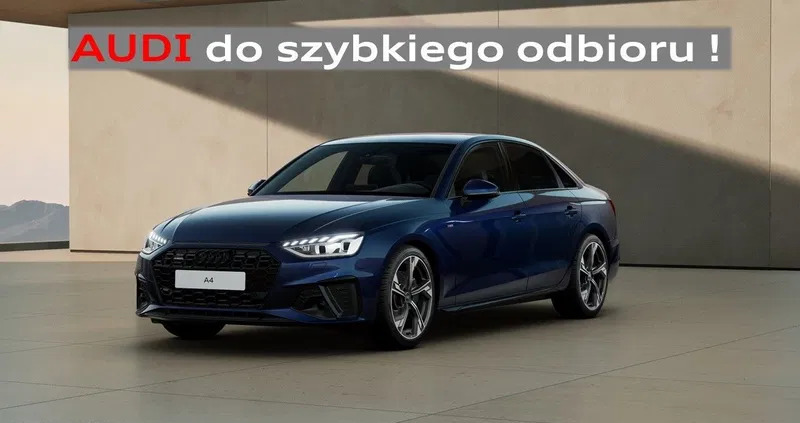 czarna białostocka Audi A4 cena 217700 przebieg: 1, rok produkcji 2024 z Czarna Białostocka